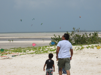 Public enjoys the kites while kite boarders surf in the lagoon