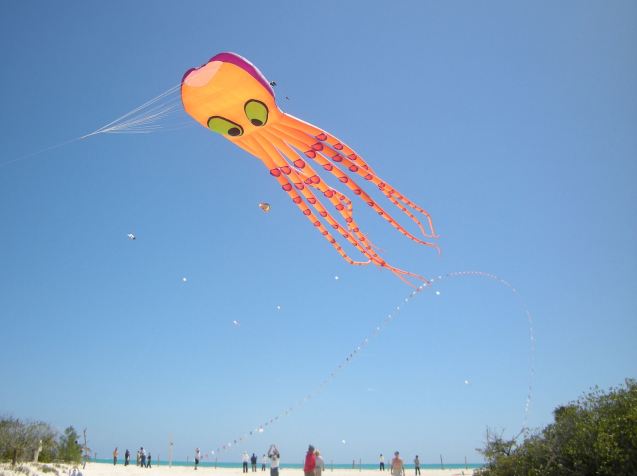 octopus, kite arch, workshop kites